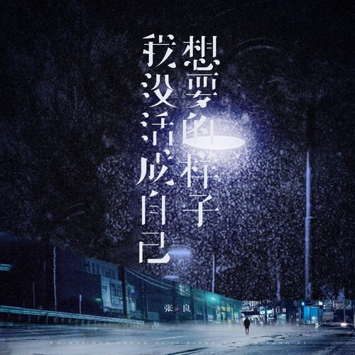 我没活成自己想要的样子