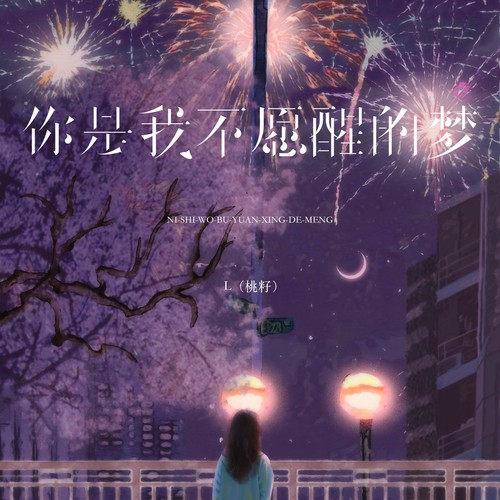 你是我不愿醒的梦