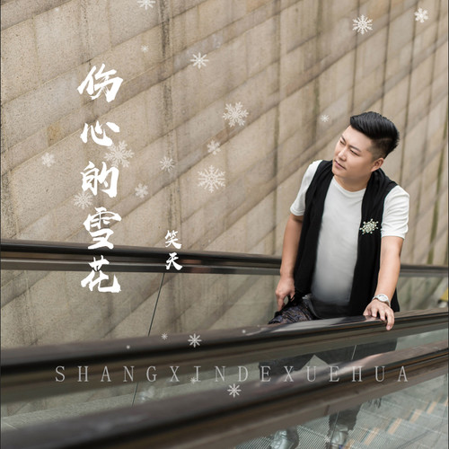 伤心的雪花