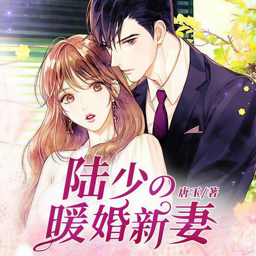 陆少的暖婚新妻(任言恺程小蒙主演《约定期间爱上你》原著):合约婚姻,干柴烈火一煮就熟