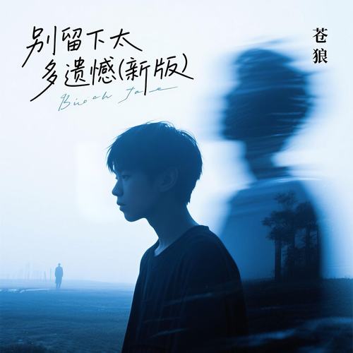 别留下太多遗憾 (新版)