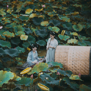 回来看看美女