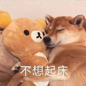 多啦～叮咚