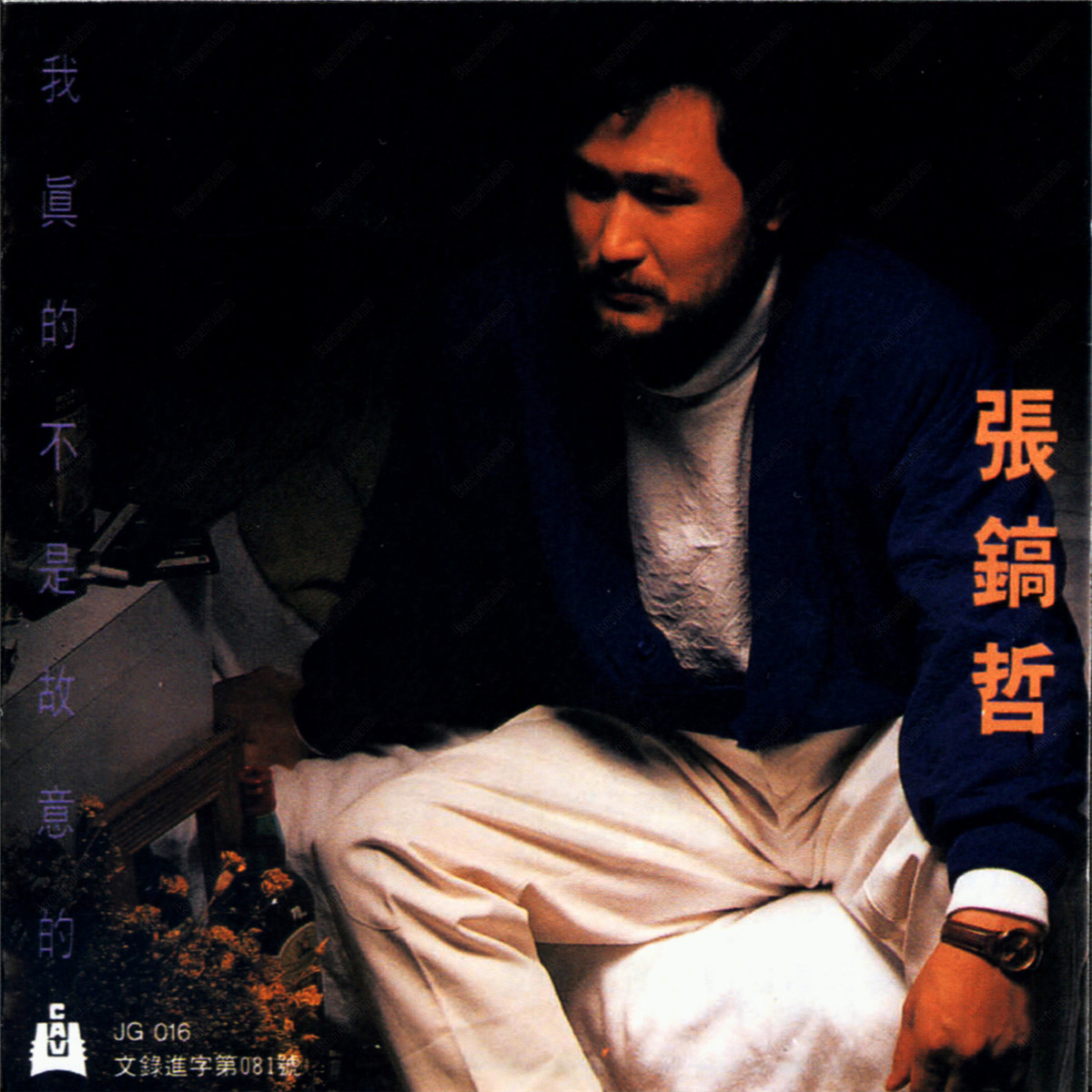 张镐哲19880101我真的不是故意的polygram