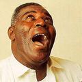 Howlin' Wolf&The Tornados