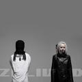 Zaliva-D