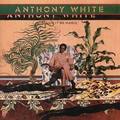 Anthony White&White Ant