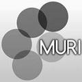 Muri