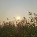AUROUS&Belons Eympire