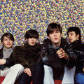 Stone Roses