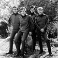 The Bobby Fuller Four