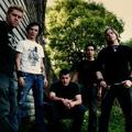 12 Stones