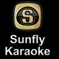 Sunfly Karaoke&Cover Drive