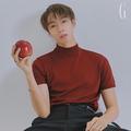 玫瑰少年 (cover: 椿) - 张天宇
