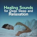 Healing Sounds for Deep Sleep and Relaxation&Stereo Storm&Zone Out