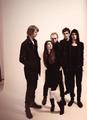 The Late Parade
