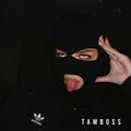 时代进行曲（青海摇第三季） - Tamboss