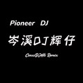 情罪 (岑溪DJ辉仔 remix) (Remix) - 岑溪DJ辉仔