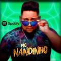 Mc Nandinho&Dj Biel Beats