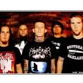 carnifex