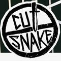 Cut Snake