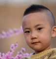 苹果香 (翻奏: 黑大婶回乡带娃) - 王生银