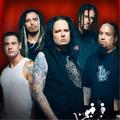 Korn