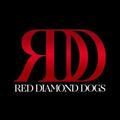 RED DIAMOND DOGS&Afrojack&Chico Rose