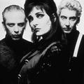 Siouxsie and the Banshees