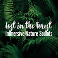 Forest Sounds&Life Sounds Nature&Healing Sounds for Deep Sleep and Relaxation