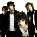 The Kooks