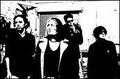 The Manhattan Love Suicides