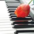 Piano Tribute Conservatory