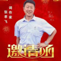 张孝飞