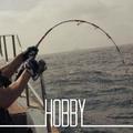 Hobby