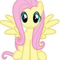 Fluttershy