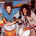 The Congos&Pura Vida