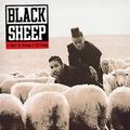 black sheep