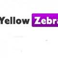 Yellow Zebra