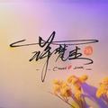蒋梵杰