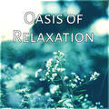 Oasis of Relaxation&Daily Relax Universe