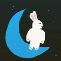 웰빙 쿠키 (wellbeing kooki)