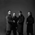 Shinedown