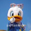顾西年
