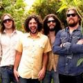 The Sheepdogs