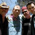 Hayseed Dixie&John Wheeler&Robert Jetton