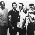 Rollins Band