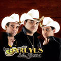 Los Dareyes De La Sierra