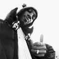 Del Tha Funkee Homosapien