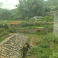 小六子aa